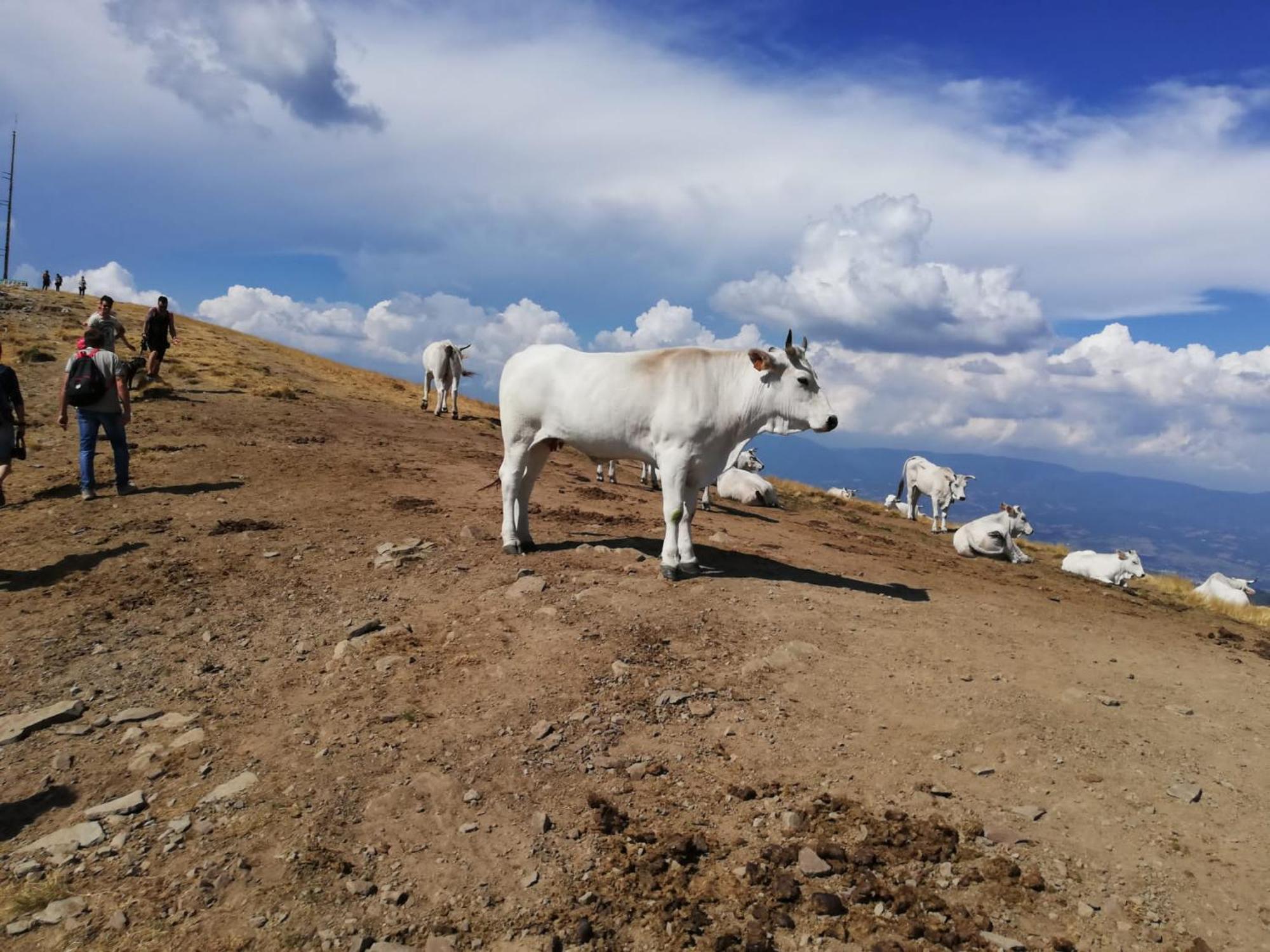 Il Rifugio Di Vale Villa Cetica Exteriör bild
